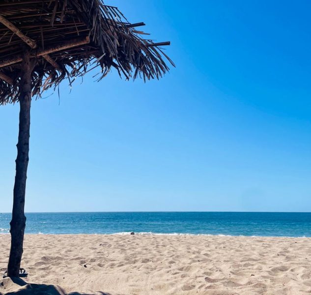 The way life should be in Sayulita.