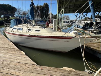 Screen-Shot-2026-02-13-at-3.10.06-PM-copy