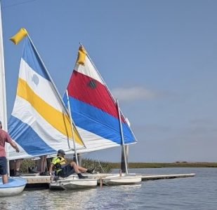 Screenshot-2024-09-01-at-11.50.27-AM-1