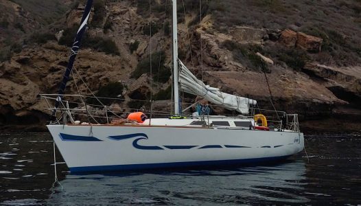 20210725_080420_HDR-Crop