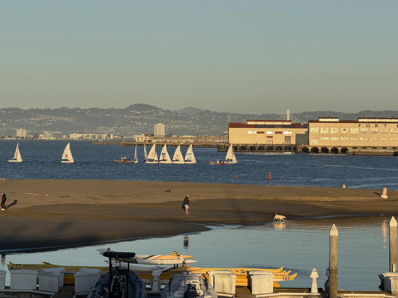 Youth sailing happens right outside of the San Francisco Marina.