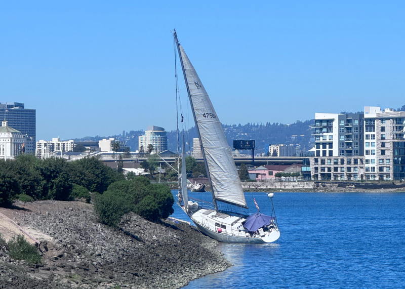 One view of the estuary has multiple boats strewn along is industrial shoreline.
