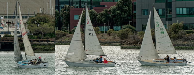 Three separate Santana 22s racing in the Island Yacht Club's Island Day Series.