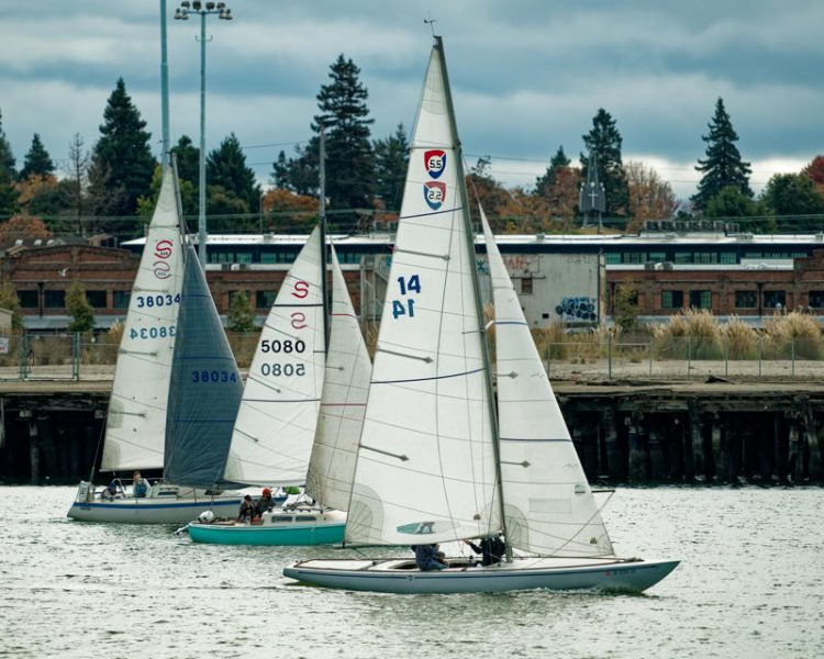 A huge variety of sailboats live and sail in the comfortable conditions of the estuary. 