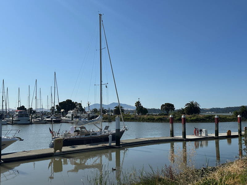 Rich Brazil sent in this photo of a raft-up at the docks right in downtown Petaluma. 