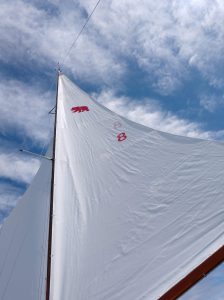 IMG_20190907_133344634