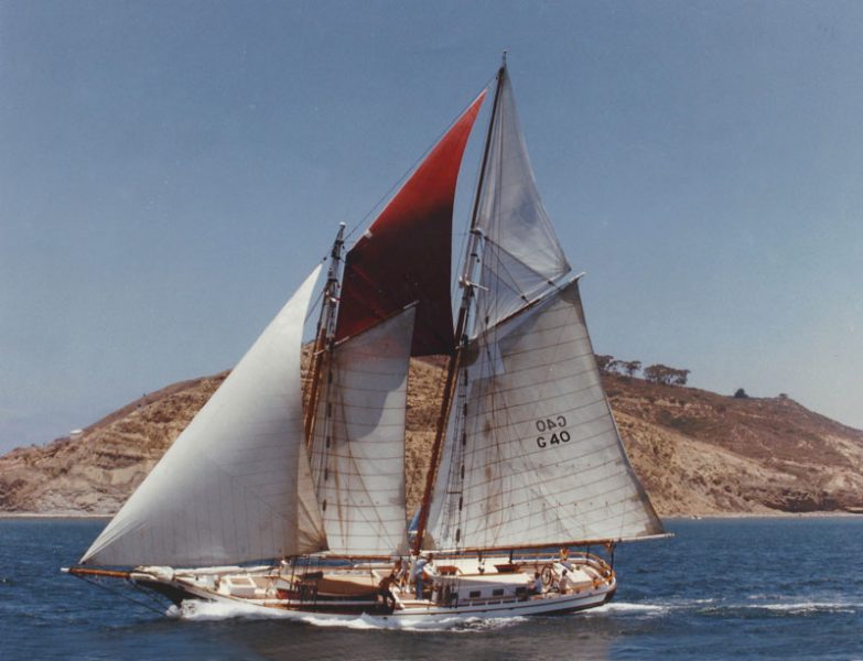 Schooner Spike Africa sailing