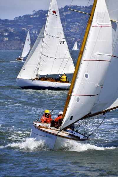 Birds and Bears have been sailing the Bay for almost a century. 