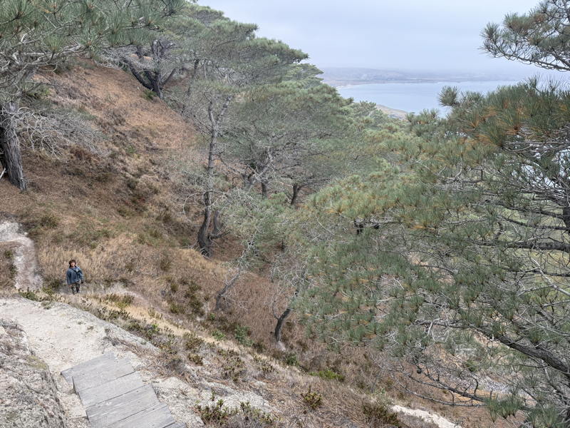 Hiking through the Torrey Pines on Santa Rosa Islands have been one of the many great reasons for the Litton family to cruise to Santa Rosa Island.