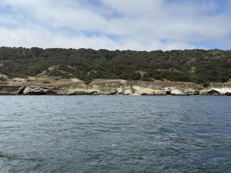 A portion of the Torrey Pines seen from Pythagoras.