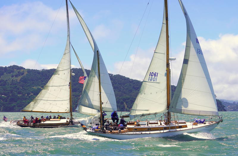 Water Witch and Fairwyn (which also did the 2025 Baja Ha-Ha) close reaching towards the Bob Klein buoy.