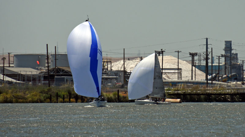 Outsider and Rufless in New York Slough, with industrial Pittsburg in the background