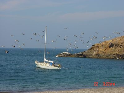 DSC00043