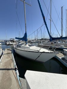 IMG_1079-1