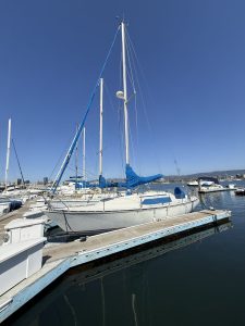 IMG_1082-1