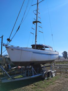 IMG_20251023_115315024