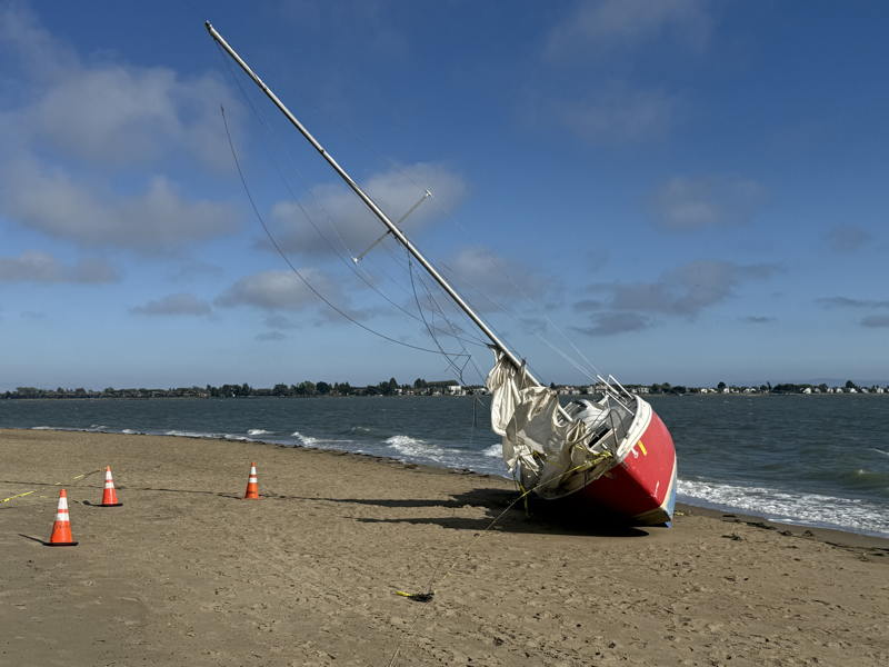 This boat drifted up on a beach in Alameda.