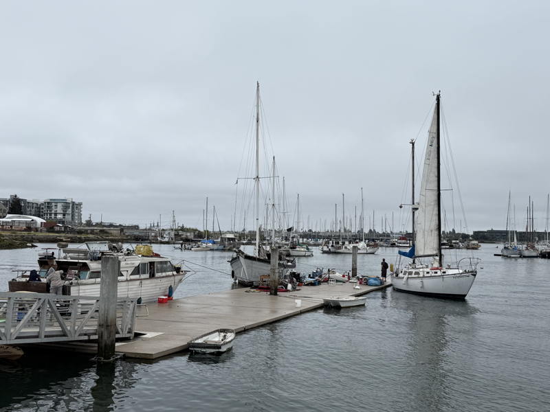 This is the City and Port of Oakland's public access dock in front of the Jack London Aquatic Center.