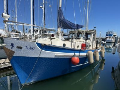 TULIP-AD-3-IMG_1273