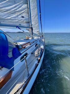 IMG_0674