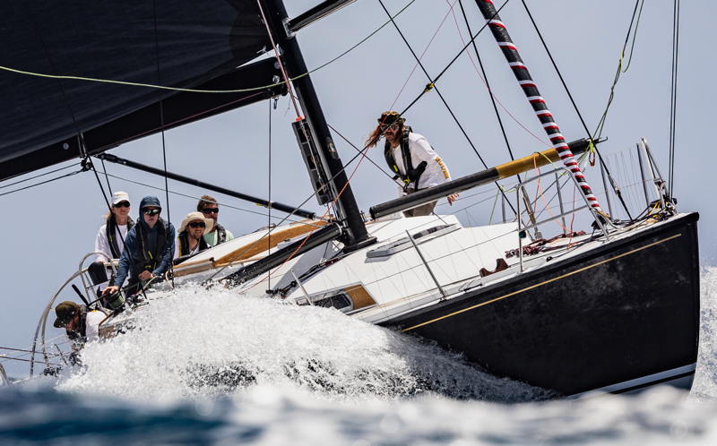 Ragtime swooped in for first in the ORR Pasha Hawaii division.
