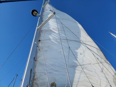 20_15_Rig_Main_Sail_Closeup