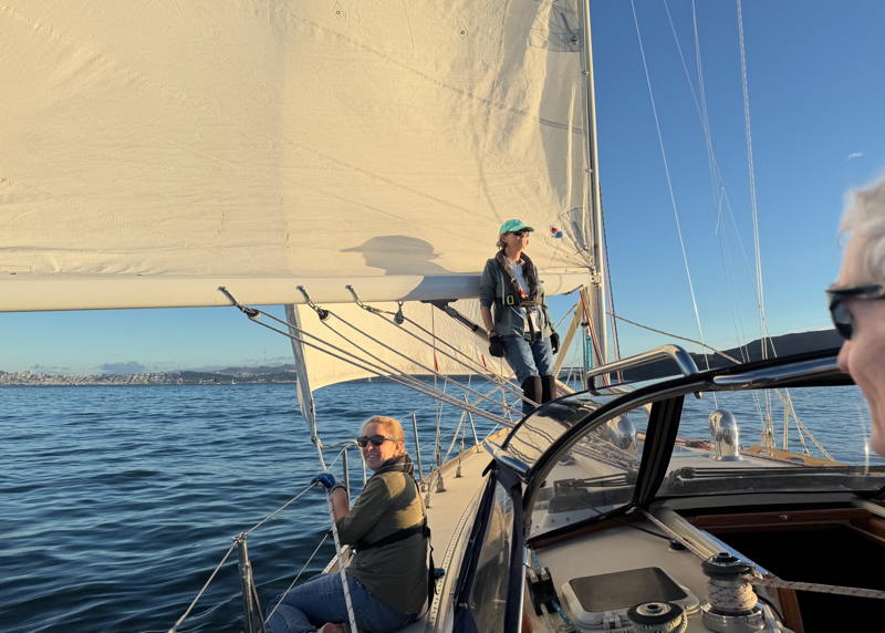 Looking for breeze while enjoying the evening light.