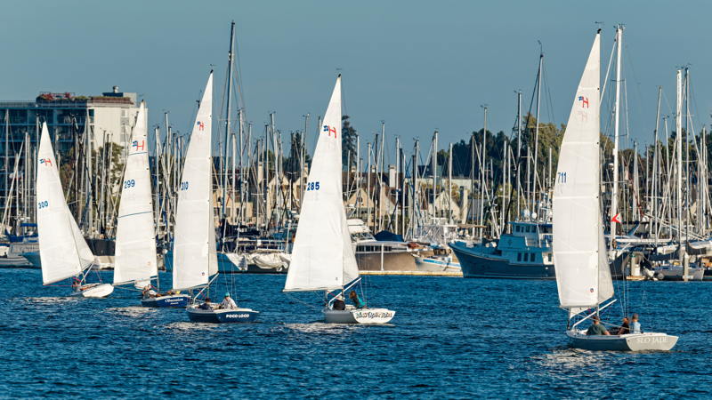 We can't help but notice all the masts in the background that are missing a beautiful evening on the water.