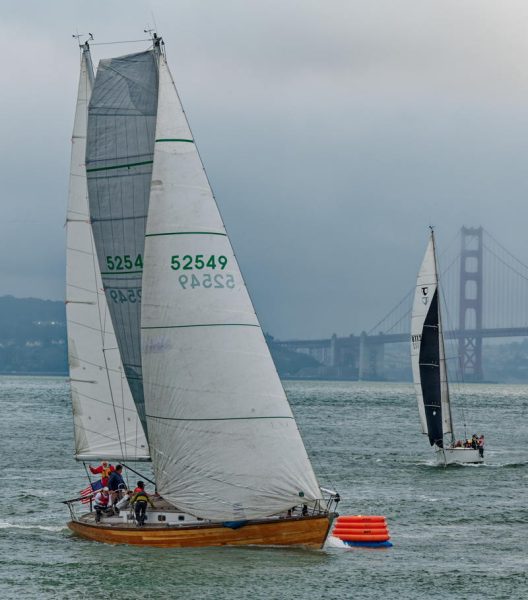 Schooners join Bird boats, J/105s and JPK 1180s and many more boats for an evening beer can race.