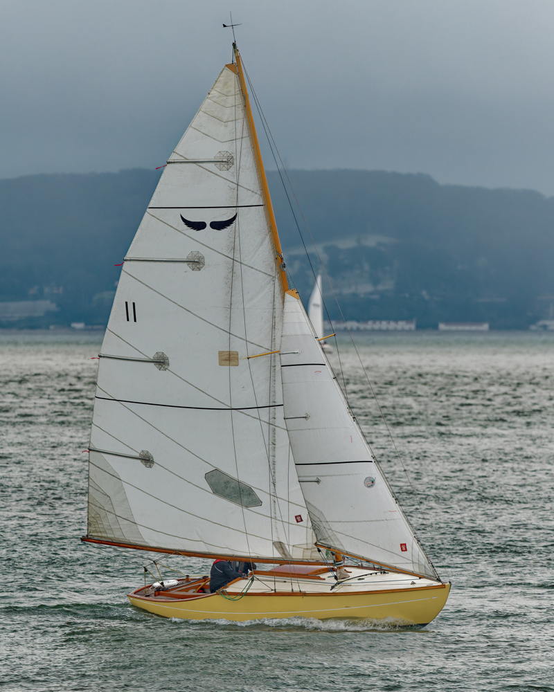 Schooners join Bird boats and JPK 1180s on the Friday night buoy tour.