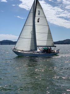 IMG_0461