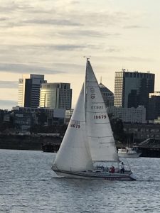 IMG_3338