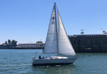 IMG_0760