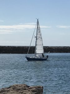 IMG_3067-1