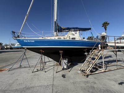 IMG_7499-1