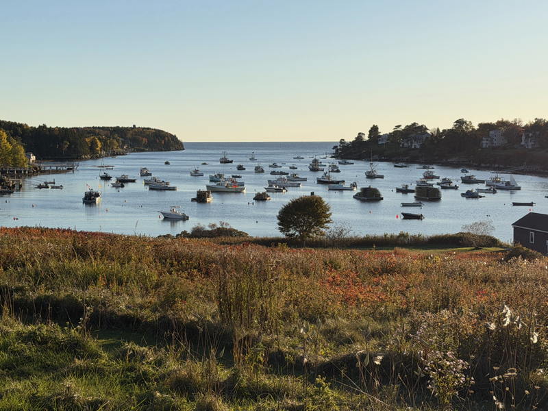 The loss of working waterfront to serve commercial and recreational maritime uses is happening from Maine around the coast to California, Washington and Alaska.