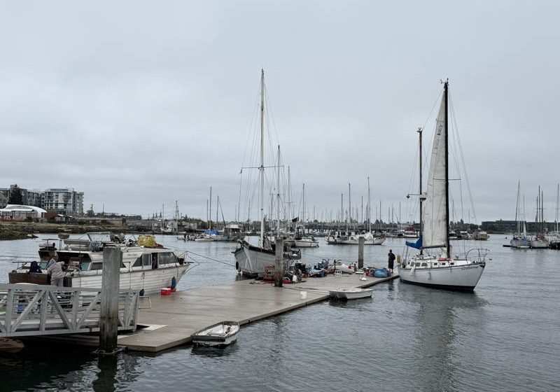This is the City and Port of Oakland's public access dock in front of the Jack London Aquatic Center.