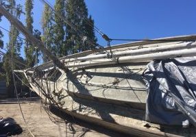 Pronto at the Army Corps of Engineers dock in Sausalito.