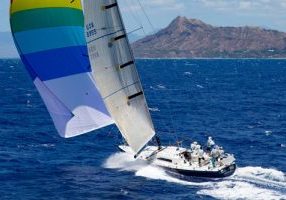 Merlin at Diamond Head