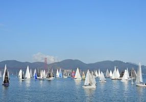 Many of the Three Bridge Fiasco participants sail singlehanded.