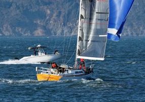 Timberwolf, with Marin Headlands