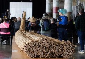 A 30-foot tule reed boat, created in 2019 to mark the 50th anniversary of the Occupation of Alcatraz, is now being accessioned into the collection of the California Academy of Sciences.