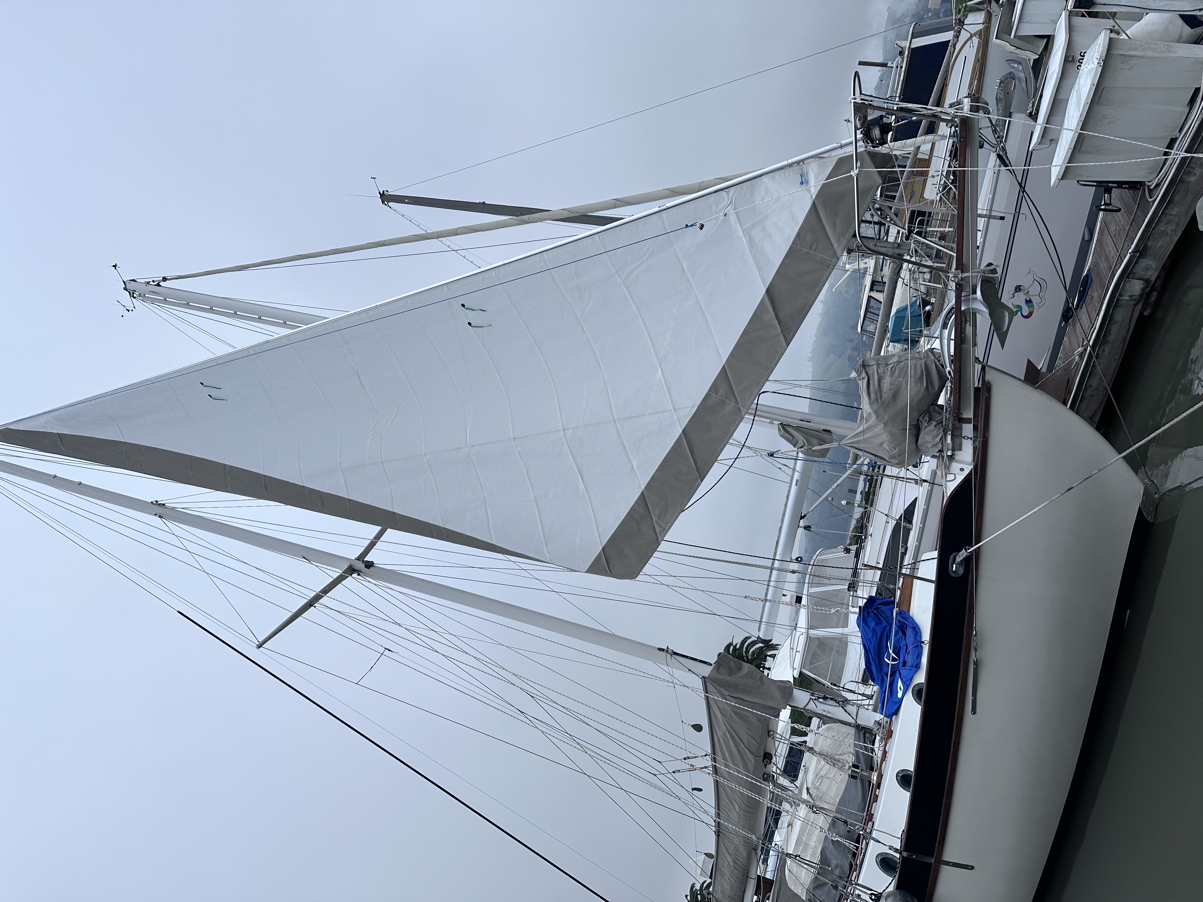 Attach a photo of yourself or your boat