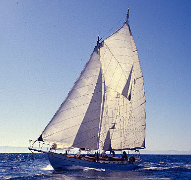 david crosby's sailboat the mayan