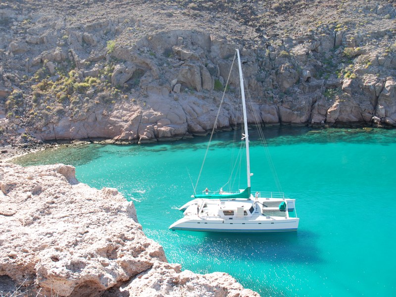 Cat anchored in a cove